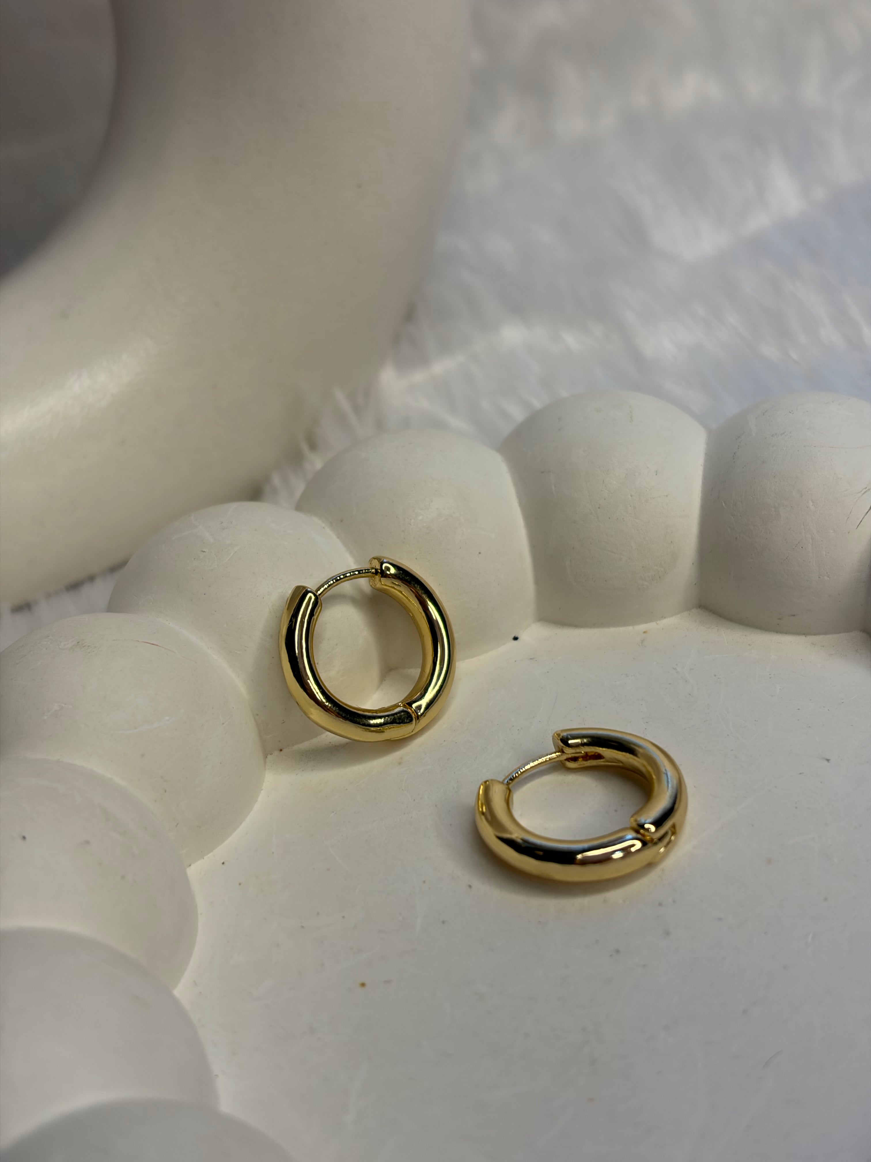Anti Tarnish Small Hoops