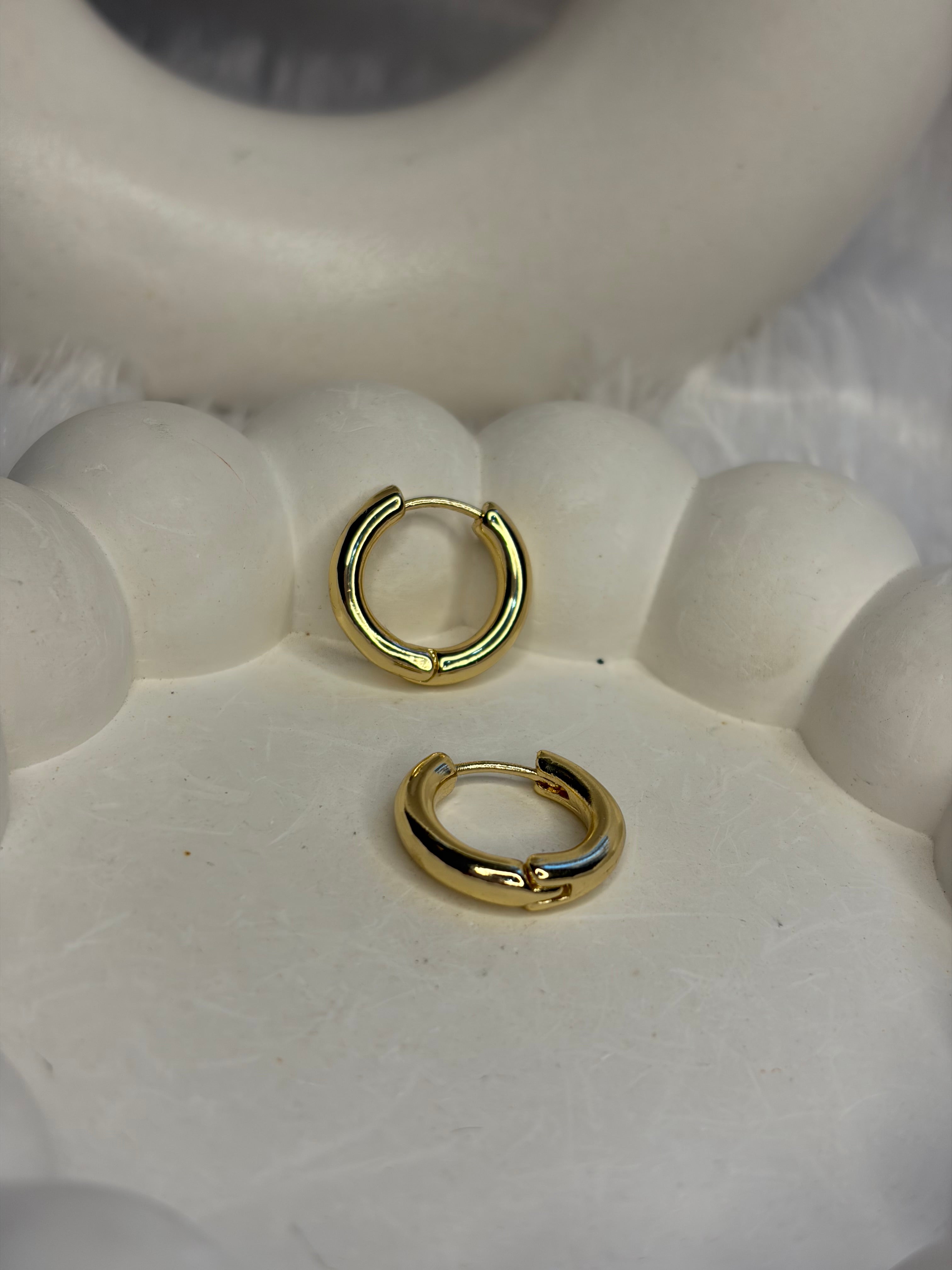 Anti Tarnish Small Hoops