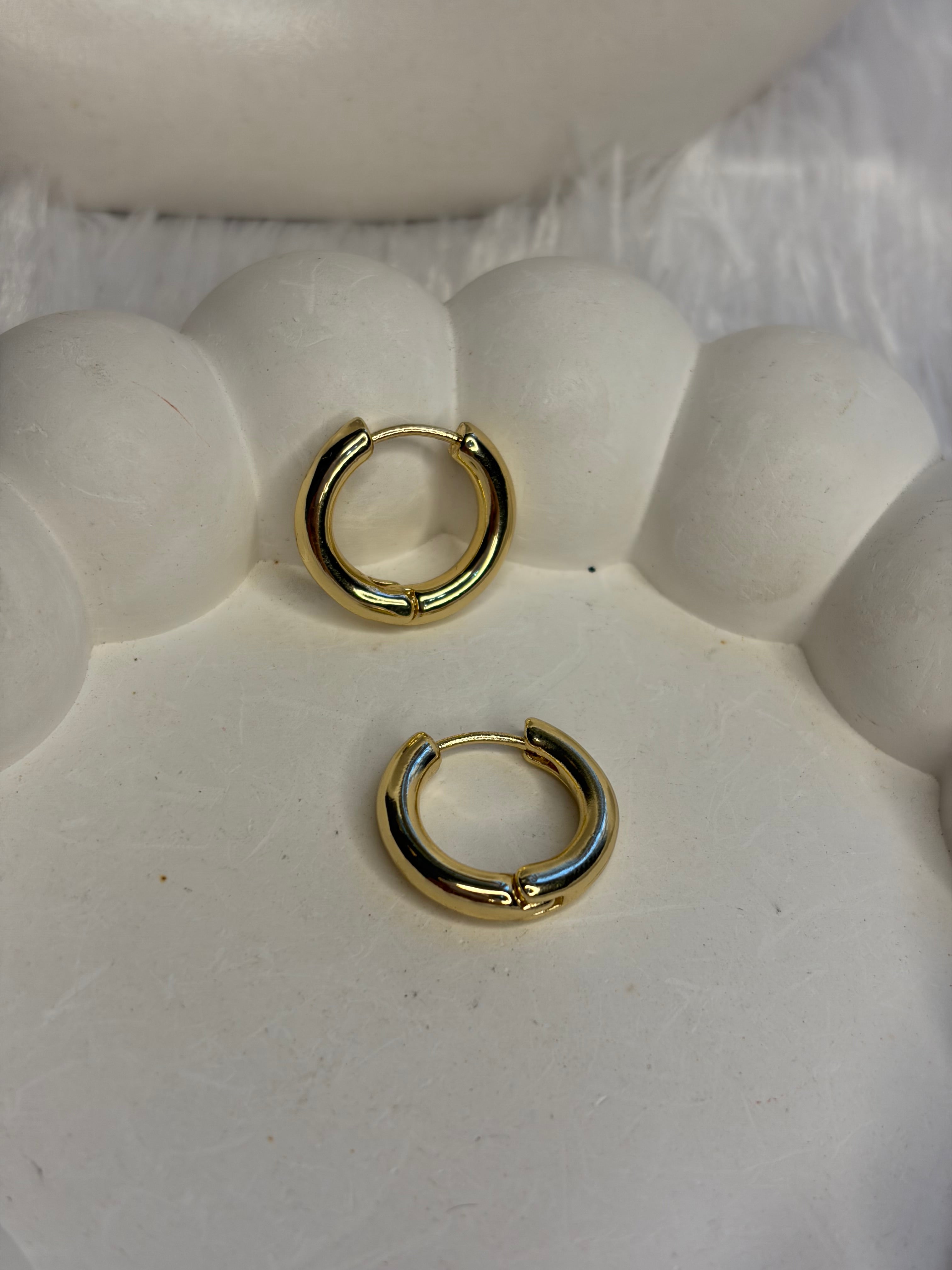 Anti Tarnish Small Hoops